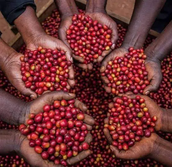 A shared harvest
