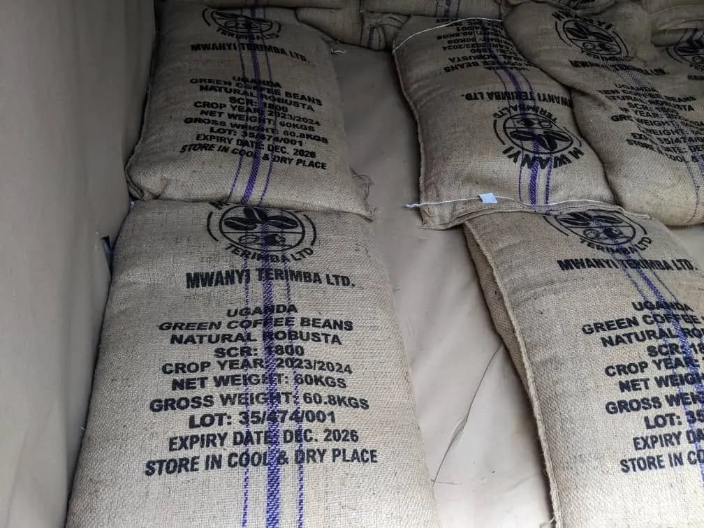 Labelled export coffee bags prepared for shipment