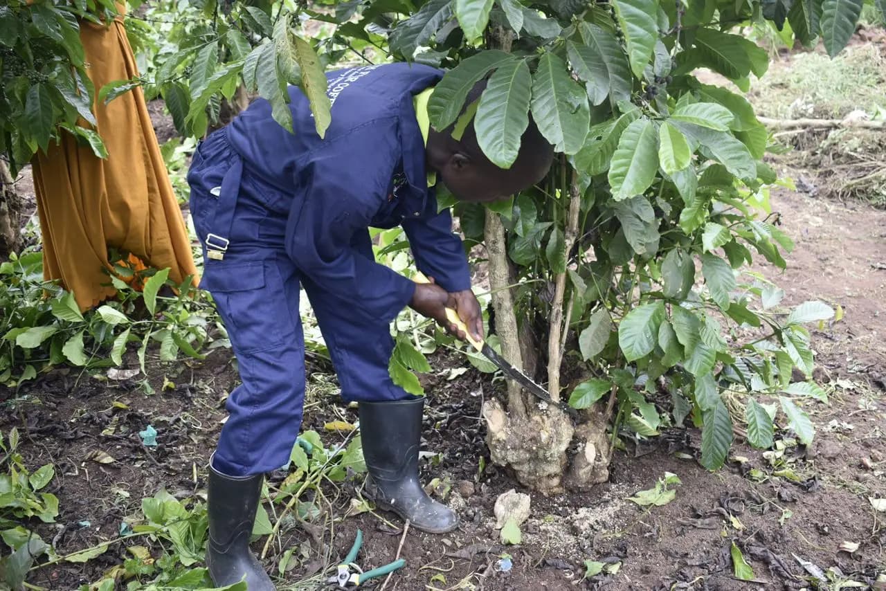 Field inspection