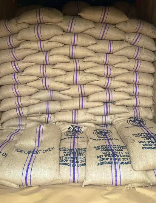 Traceable bag identification
