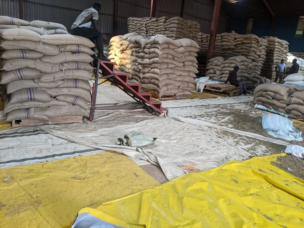 Coffee aggregation warehouse