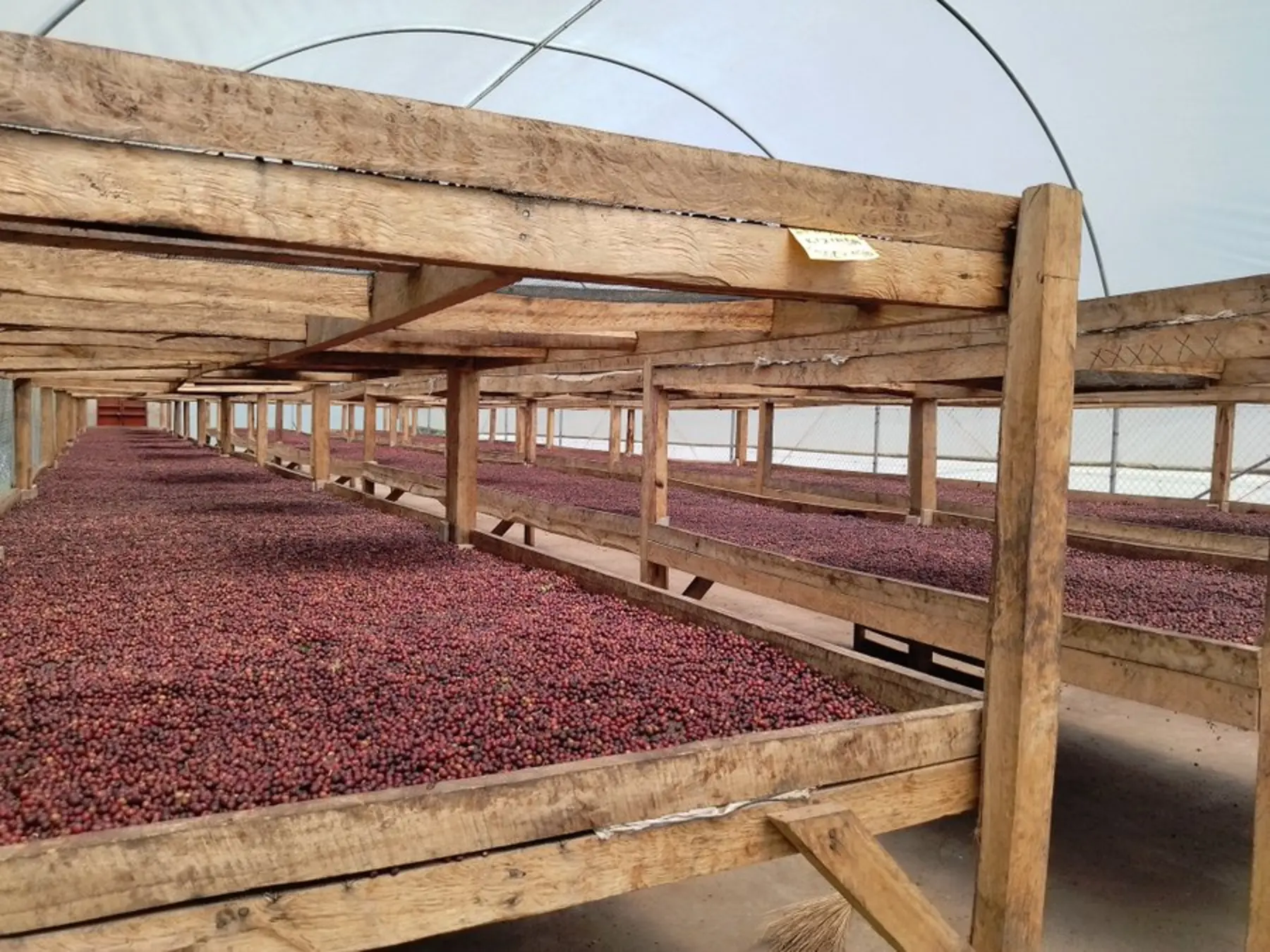 Sustainable processing