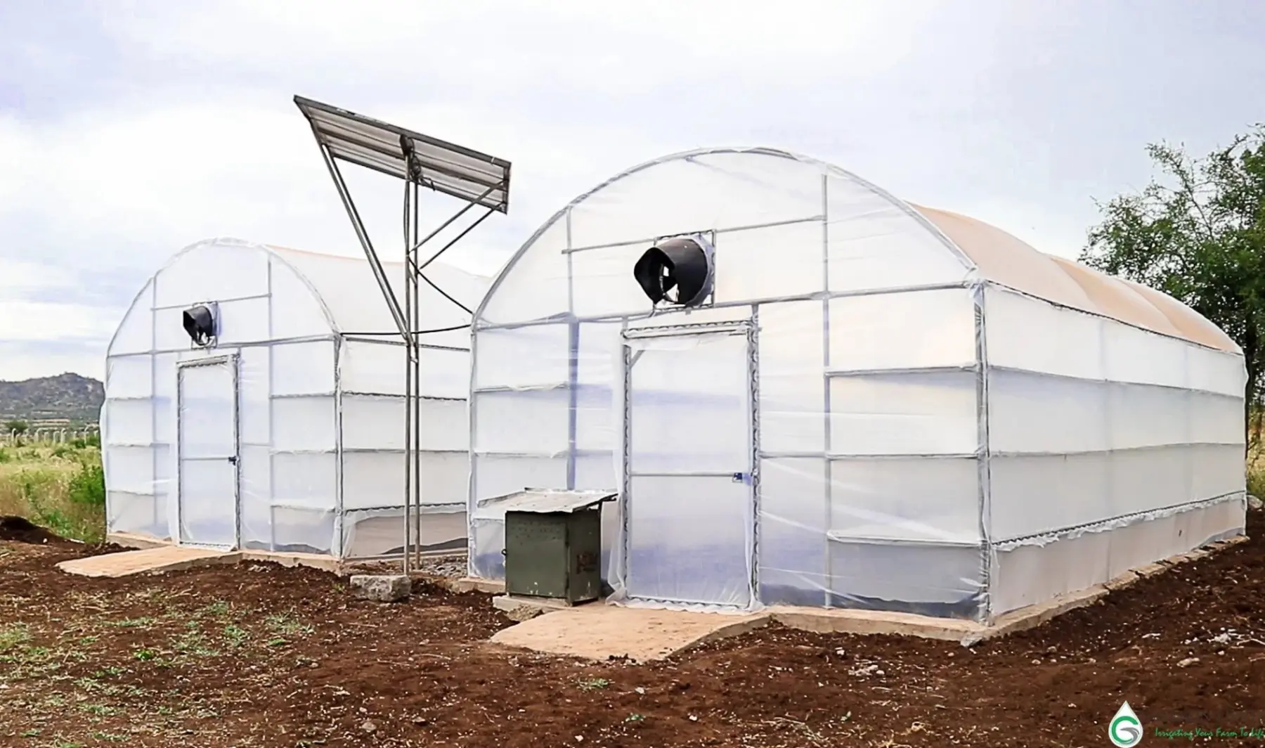 Greenhouse-style drying structures for coffee processing